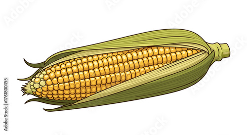 A ripe ear of fresh sweet corn with green husks peeled back revealing golden kernels.