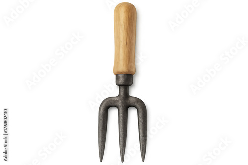 Garden hand fork with wooden handle and metal tines