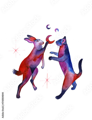 cat and rabbit lunar cycle