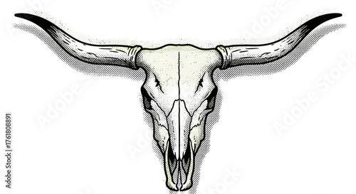 Stylized longhorn skull drawing with intricate halftone shading isolated on white