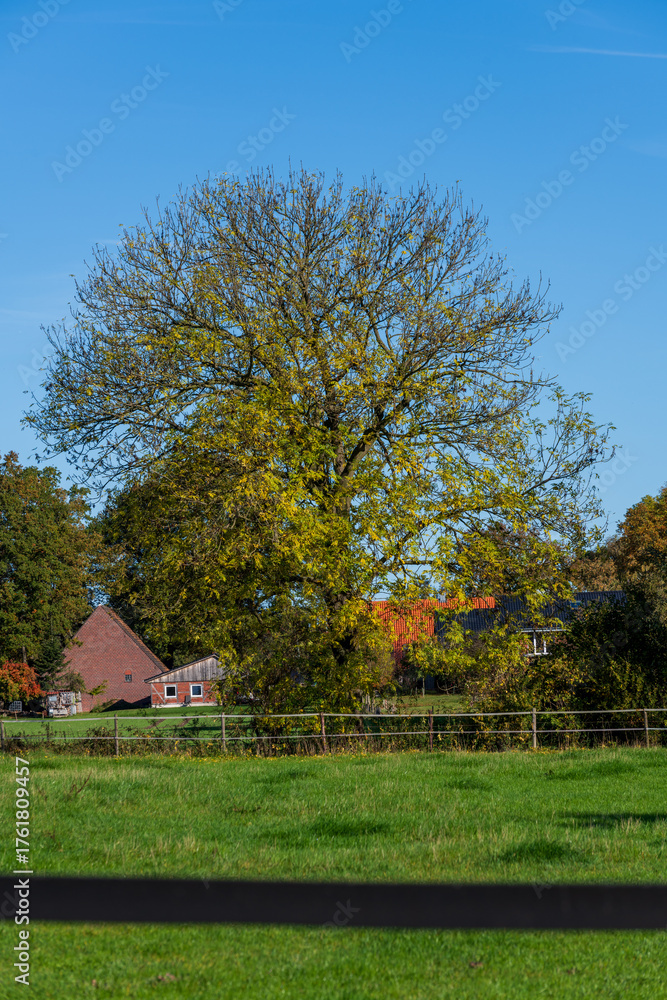 Fototapeta premium house in autumn