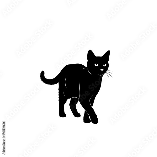 A sleek black cat with bright eyes walks forward with its tail curved.