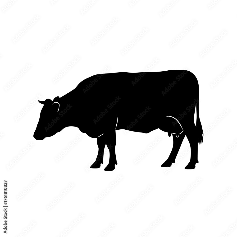 Fototapeta premium Black silhouette of a domestic cow with an udder, standing in profile on a white background, representing farm animals.