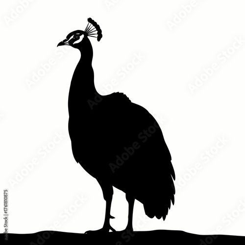 Silhouette of a peacock standing tall, showcasing its elegant form against a bright background.