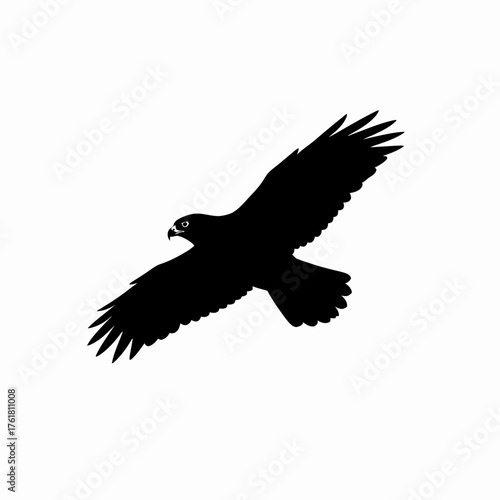 A silhouette of a hawk in flight with its wings spread wide against a white background.