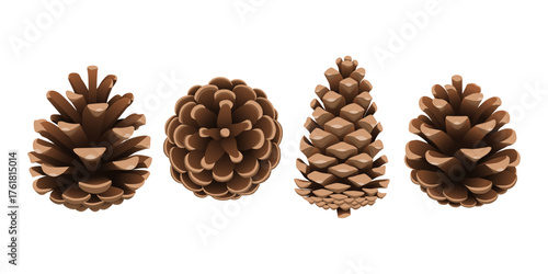 Vector pine cone. A Christmas tree fir cone for New Year and Christmas design isolated on a transparent background. Decorative element.