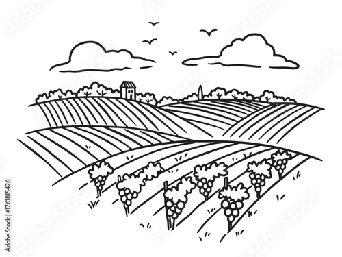 Minimalist black-and-white illustration of vineyard with rows of grapevines on rolling hills under cloudy sky with birds. Perfect for wine, agriculture, and nature content