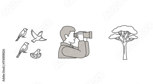 Ornithologist observing birds and acacia tree in nature.