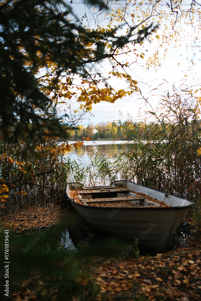 Obraz premium Abandoned paddle boat in forest next to autumn lake in Sweden