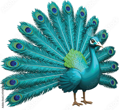 Stylized peacock with fanned tail, vibrant feathers, blue green plumage, elegant bird, artistic design, proud posture, cultural beauty, nature illustration