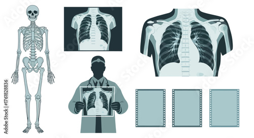 Medical Imaging and Human Anatomy Collection.