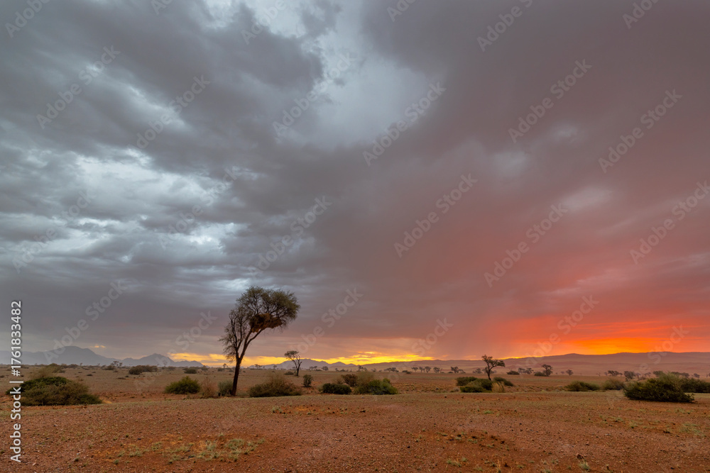 Obraz premium Red glow at sunset after the rain