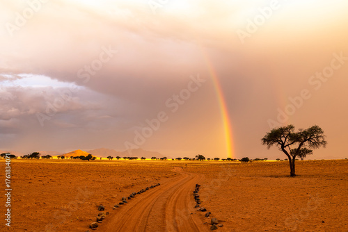 Short rainbow at the end of the day