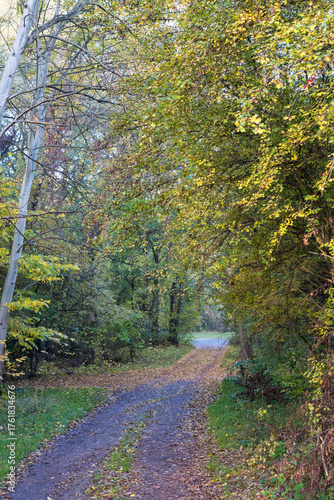 Fototapeta Naklejka Na Ścianę i Meble -  złota jesień polska - polish autumn