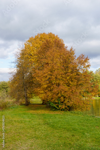 Fototapeta Naklejka Na Ścianę i Meble -  złota jesień polska - polish autumn
