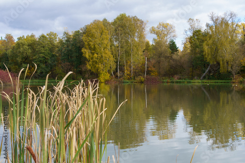 Fototapeta Naklejka Na Ścianę i Meble -  złota jesień polska - polish autumn
