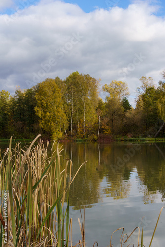 Fototapeta Naklejka Na Ścianę i Meble -  złota jesień polska - polish autumn
