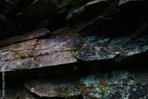 Aged stone surface with mossy crevices in natural light