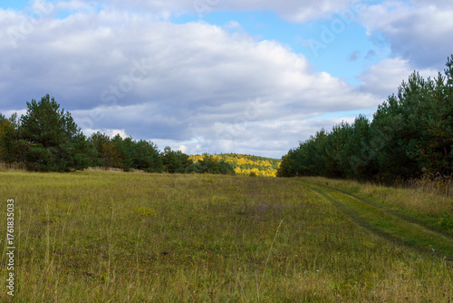 Fototapeta Naklejka Na Ścianę i Meble -  złota jesień polska - polish autumn