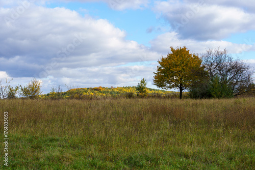 Fototapeta Naklejka Na Ścianę i Meble -  złota jesień polska - polish autumn