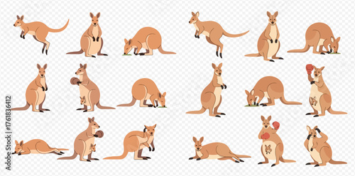Collection of cartoon kangaroos in various poses and activities.