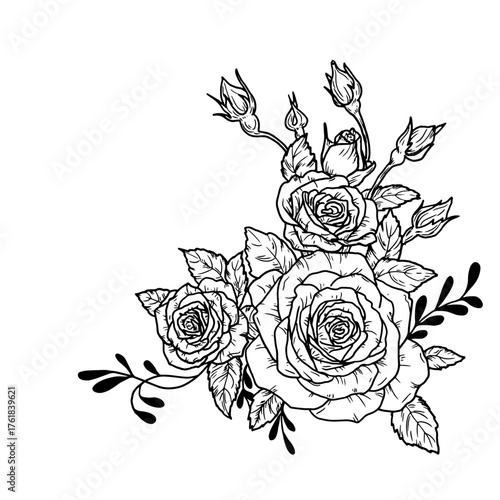 A bouquet of roses with twigs and leaves, a black and white sketch. Vector illustration. A blooming rose with buds, isolated on a white background. Bouquets of elegant garden flowers, lush foliage