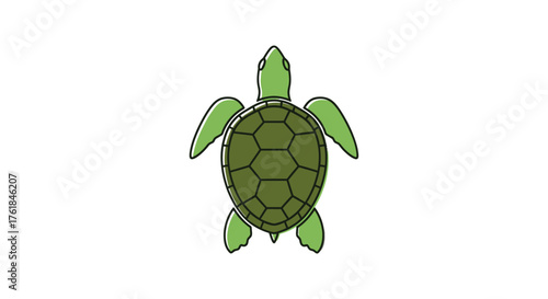 Cartoon Green Sea Turtle Illustration Top View.