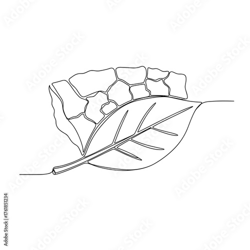 Cracked earth with leaf in minimalist style representing Autumn weather  