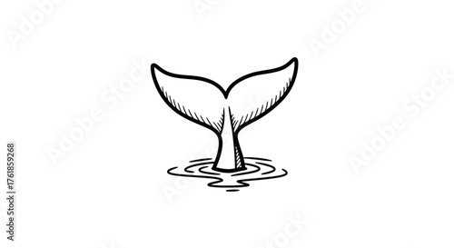 Hand-drawn illustration of a whales tail emerging from rippling water.