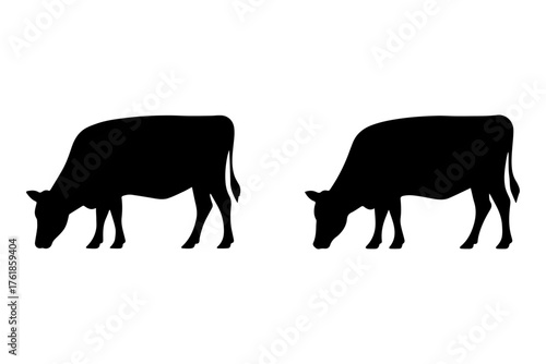 silhouette two cow farm animals grazing