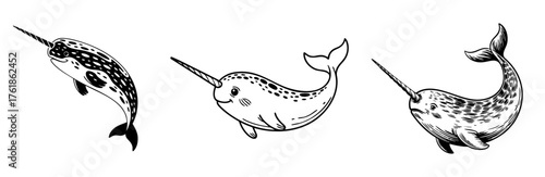 set of narwhal vector illustrations black and white, arctic animal and ocean life concepts