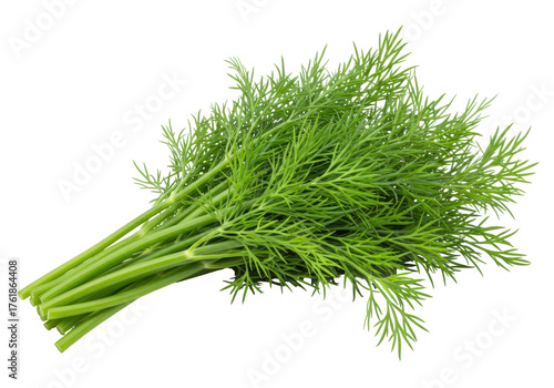 Foto Isolated dill herb bundle ready for cooking, flavorful ingredient for fresh cuis