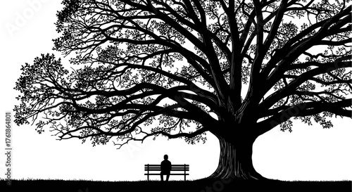 Solitary figure sitting on bench under a grand tree, a moment of peaceful reflection and contemplation in nature's embrace, creating a serene landscape
