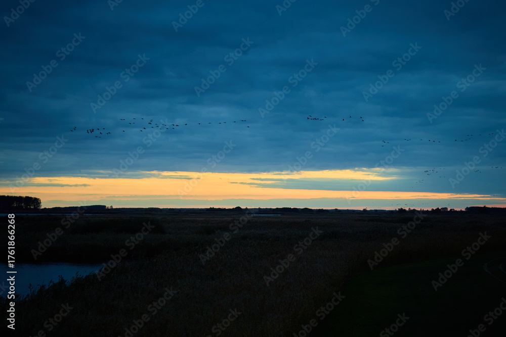 Obraz premium Sunset at area of Hortobagy location of nature sanctuary in Hungary, Europe