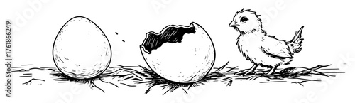 chick hatching from egg new life concept sketch vector