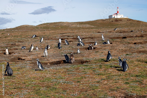 Canvas Print Magdalene Island