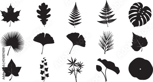 Leaf silhouettes icons set, maple, oak, fern, monstera, palm, ginkgo, pine, ivy, bamboo, lotus, abstract round leaf vector.
