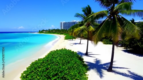 Paradise Beach Scene with Palm Trees and White Sand