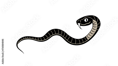 Animated Cartoon Snake with Alpha Channel - Reptile Motion Graphic