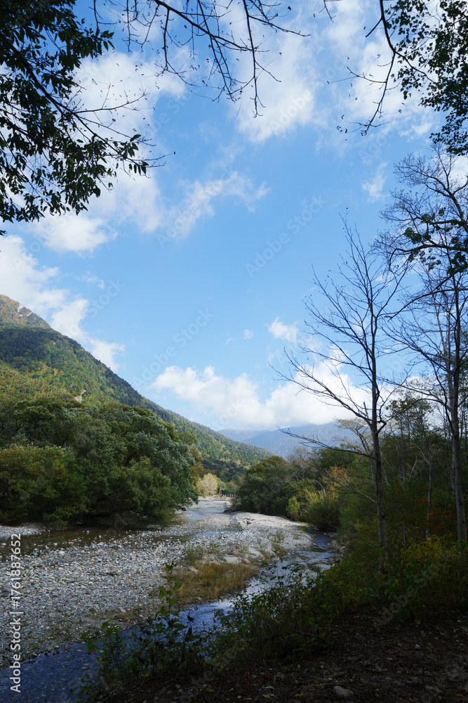 Obraz premium 上高地の大正池