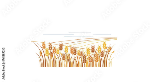 Illustration of Golden Wheat Field with Growing Stalks and Ears.