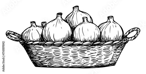 Basket filled with fresh figs — hand drawn vintage vector engraving