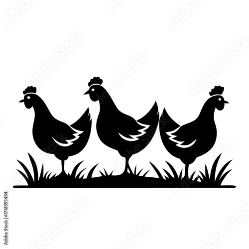 Hens Walking in a Grass Field for Farm Blogs, Poultry Articles, Animal Care Websites, Agriculture Awareness, and Rustic Home Decor