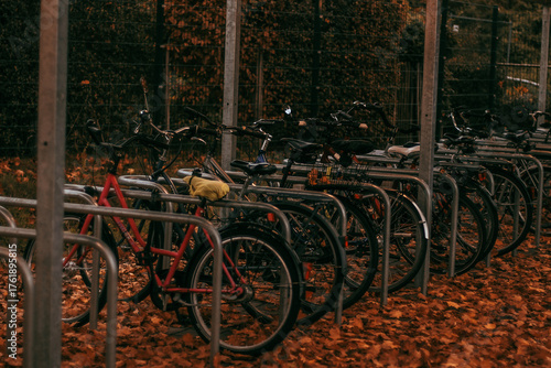 Wallpaper Mural Bicycle parking area covered with autumn leaves in a quiet urban park. Torontodigital.ca