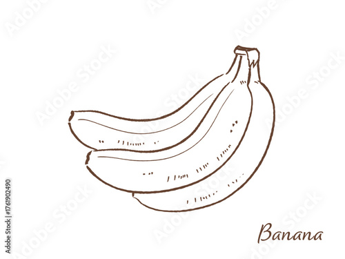 バナナの手描きベクターイラスト