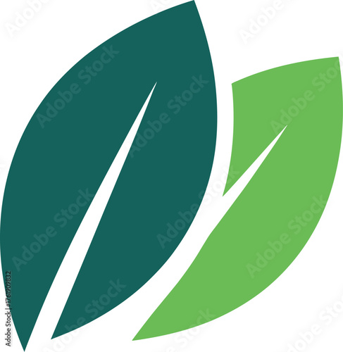 Fresh green leaves presenting natural wellness and organic growth for environmentally friendly designs