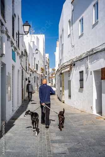 Φωτογραφία Walking greyhounds down a bright street in Conil de la Frontera