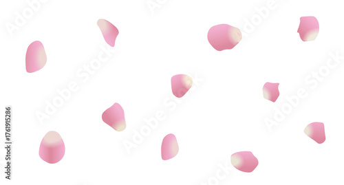 Soft pink flower petals scattered on white background creating romantic design