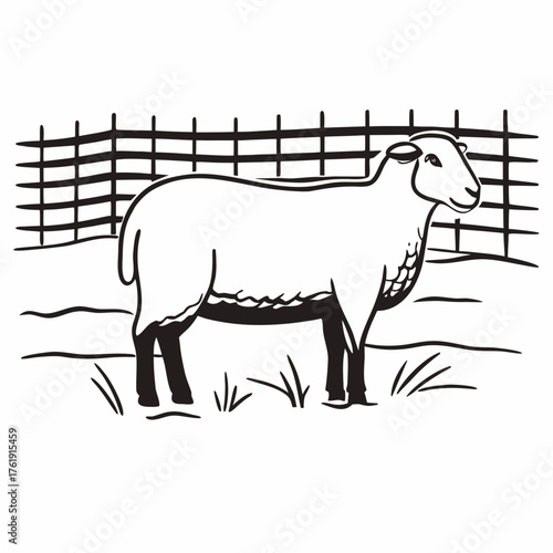 Sheep standing in a pasture near a wooden fence  