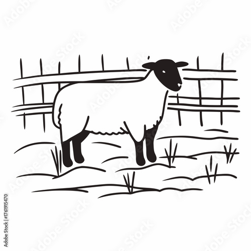 Black and white sheep standing on grass near wooden fence  